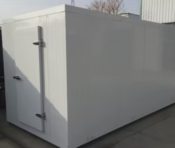 Chiller Walk-in Room